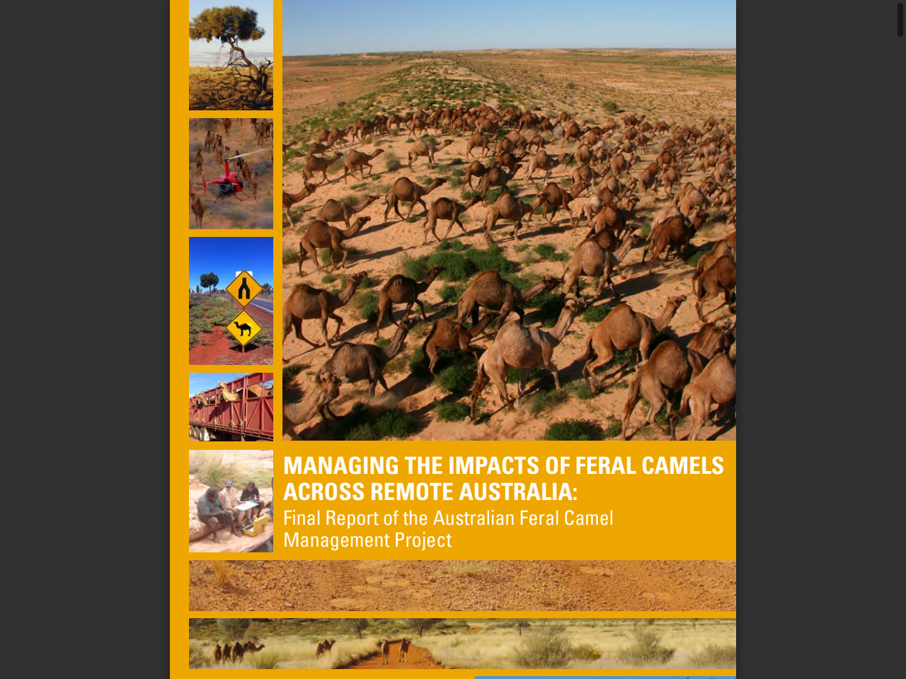 Preview of MANAGING THE IMPACTS OF FERAL CAMELS ... - Ninti One