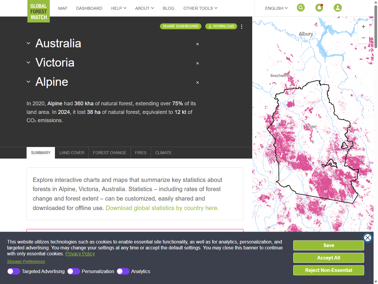 Preview of WDR Eucalyptus delegatensis forest over rainforest