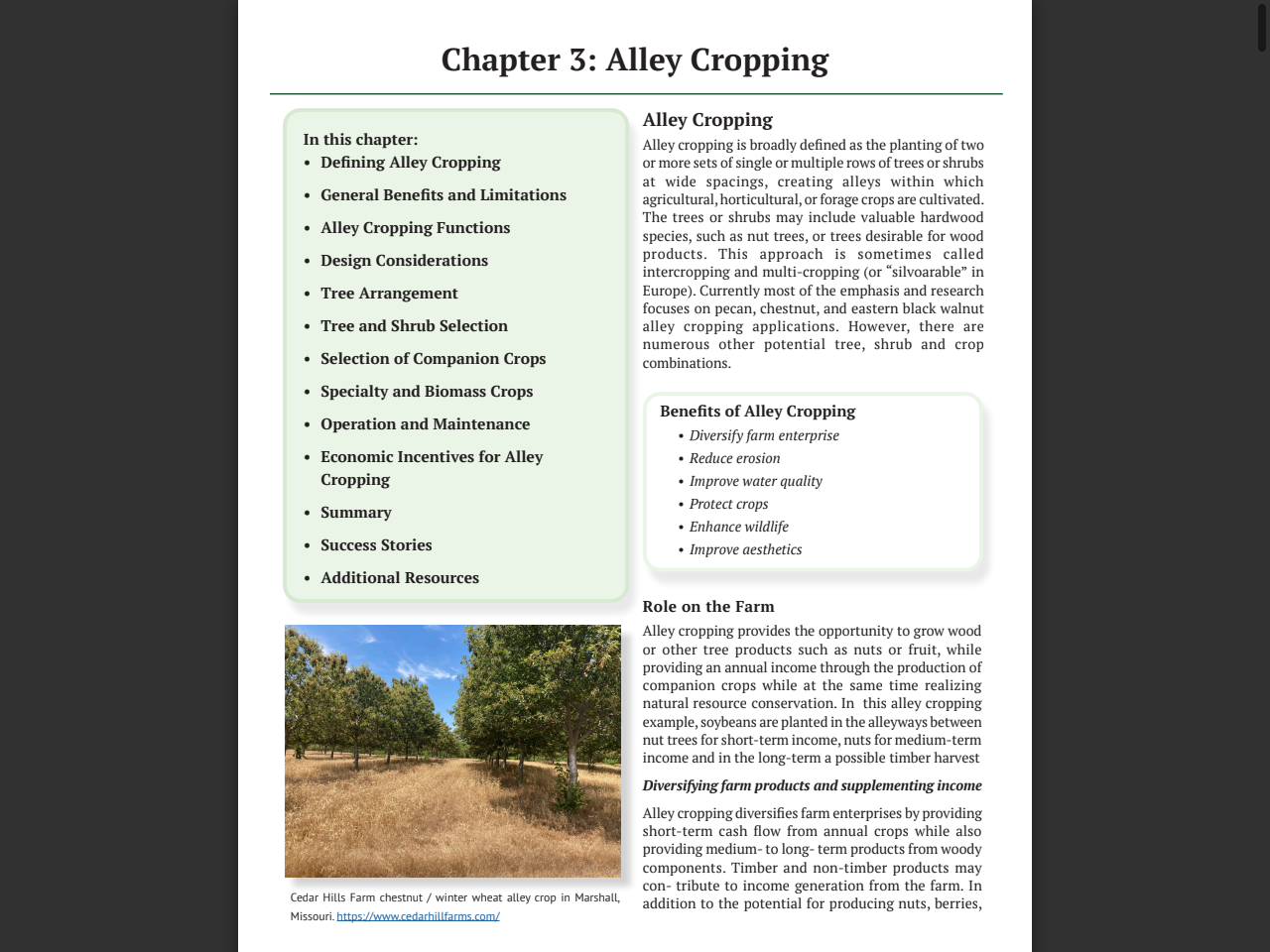 Preview of Tree-grass balance | Meat & Livestock Australia - MLA, accessed July 17, 2025,