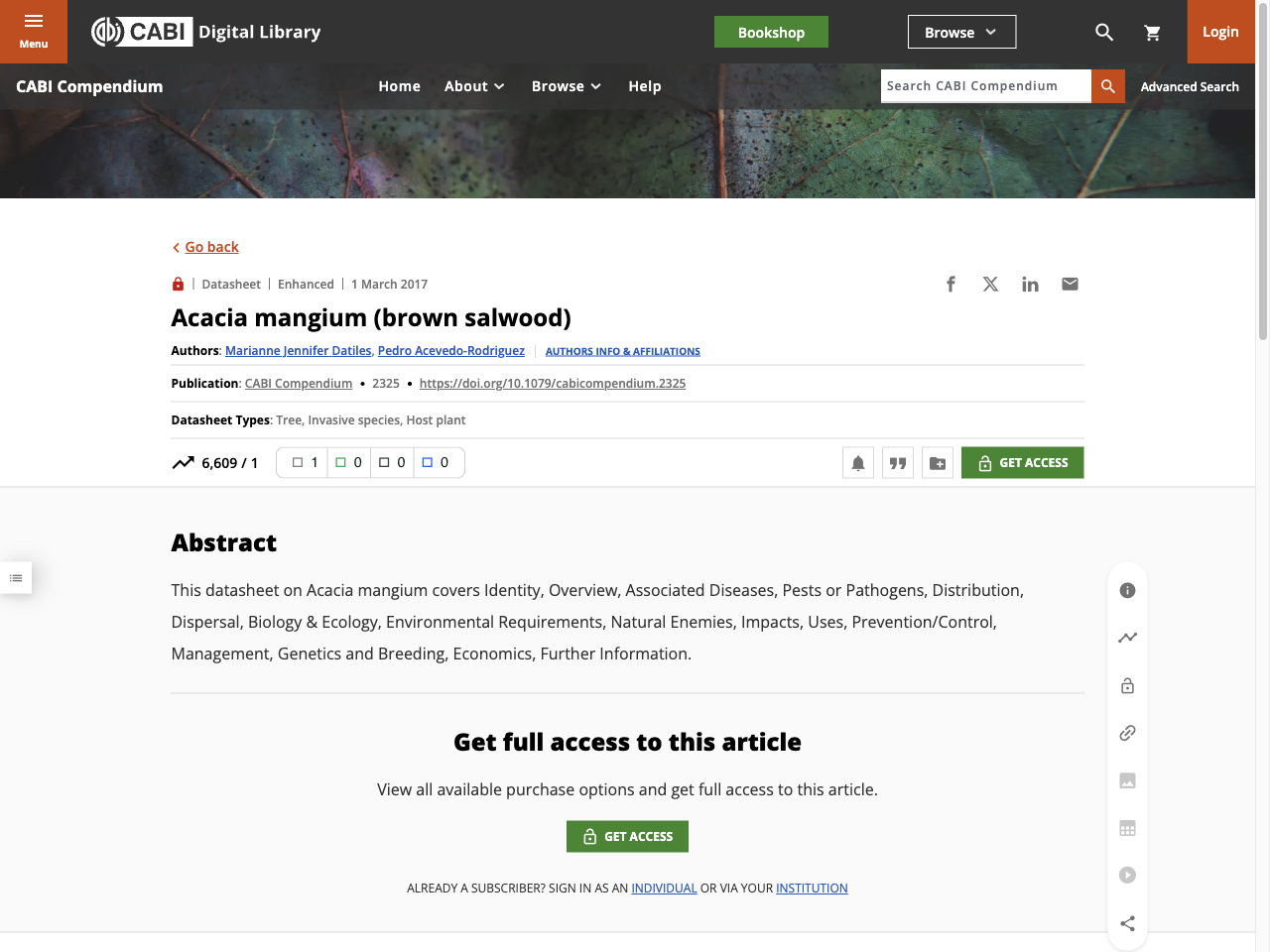 Preview of Acacia mangium (brown salwood) | CABI Compendium, accessed August 1, 2025, 