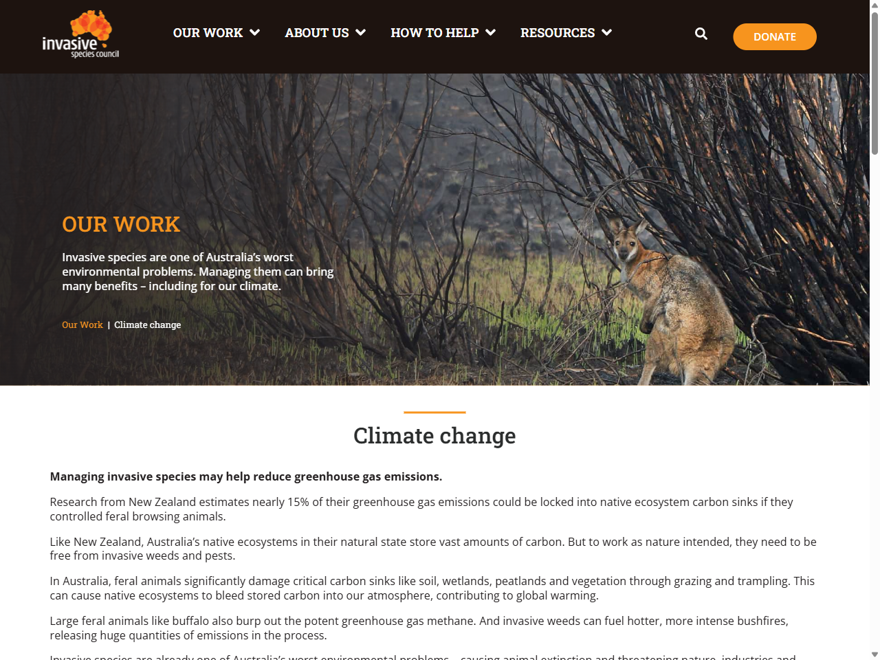 Preview of Murray Region Forestry Hub (2025). Blackberry Strategic Plan and Actions.