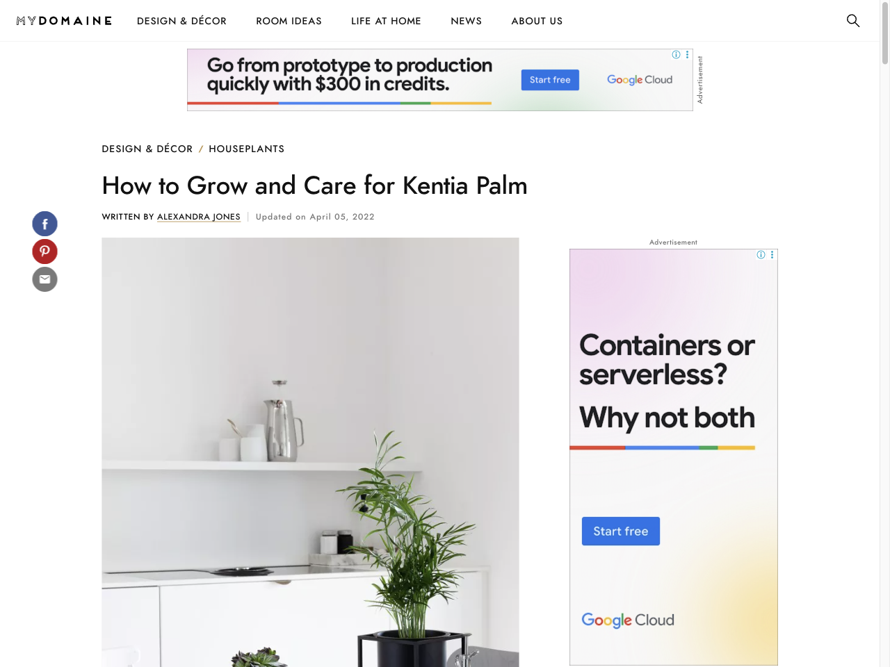 Preview of How to Grow and Care for Kentia Palm - MyDomaine, accessed July 30, 2025,