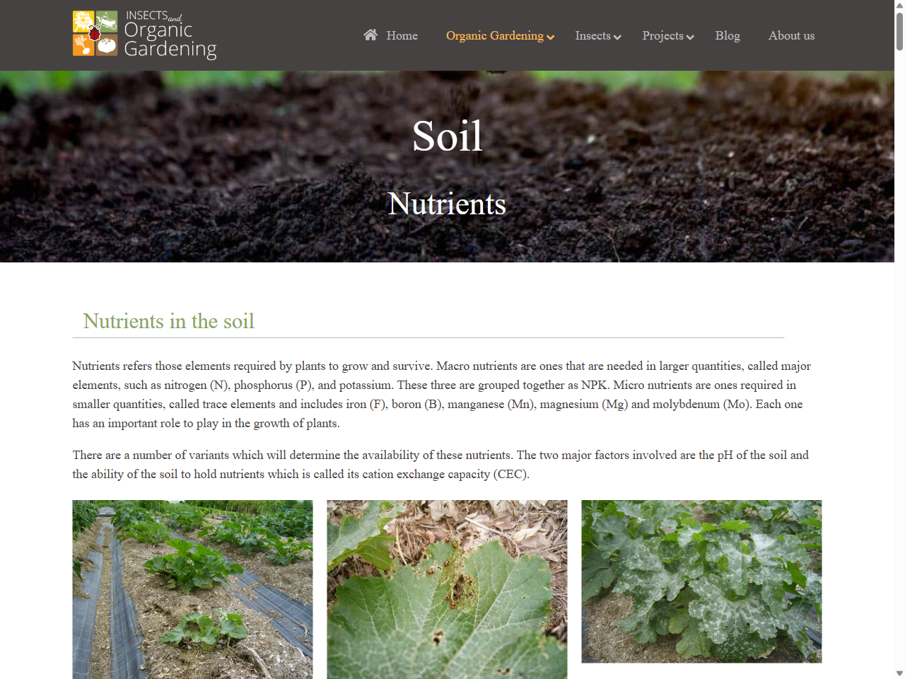 Preview of Plant Nutrition and Trace Elements | MFC - Australian Organic Registered Farm Input