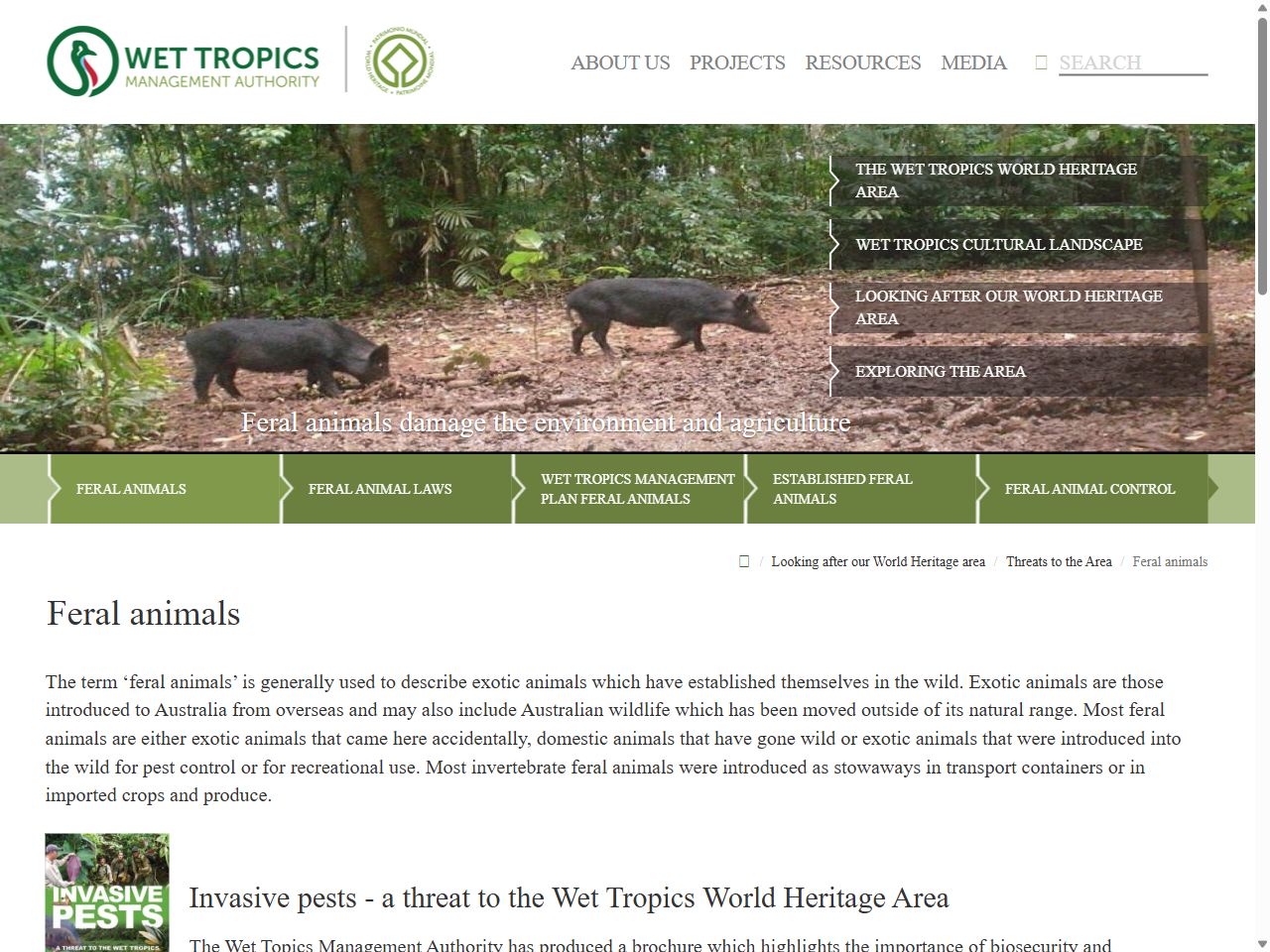 Preview of Feral animals - Wet Tropics Management Authority, accessed July 30, 2025