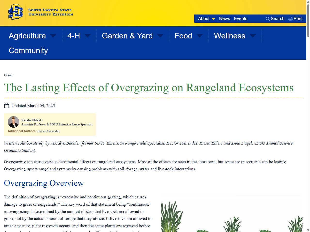 Preview of The Lasting Effects of Overgrazing on Rangeland Ecosystems - SDSU Extension