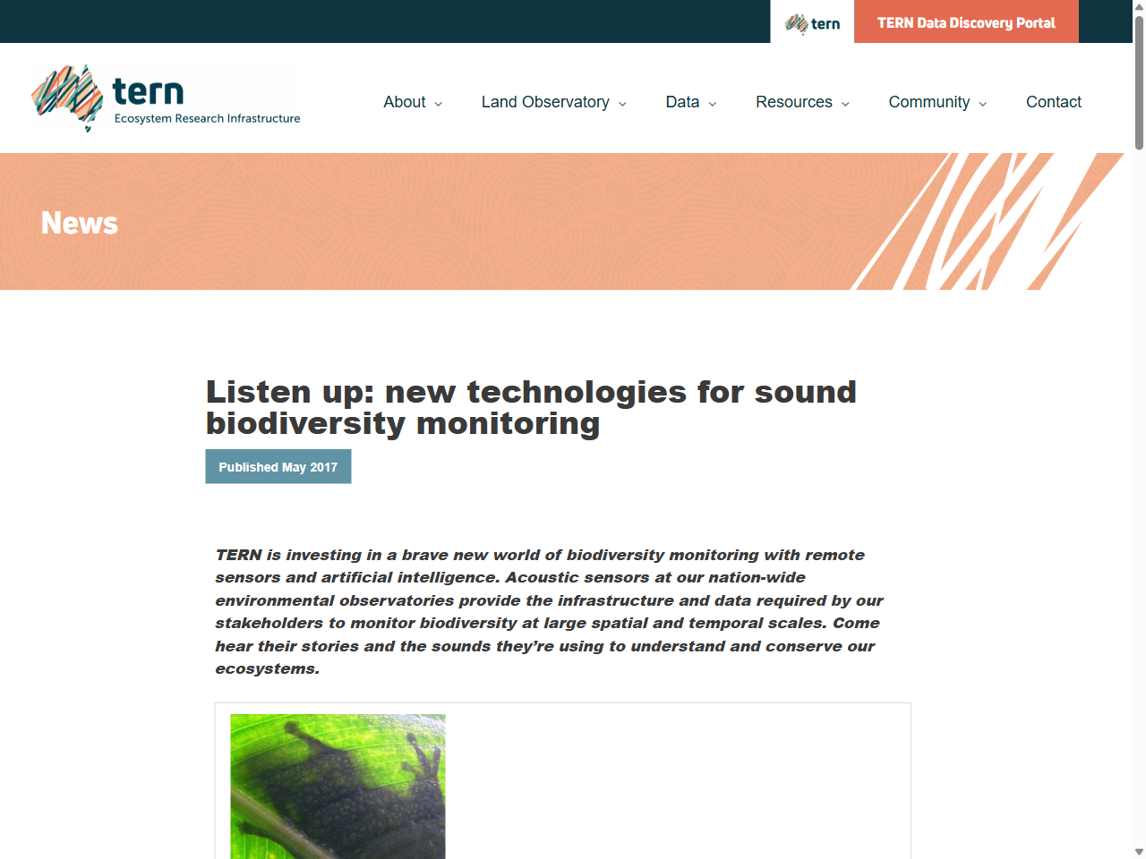 Preview of Listen up: new technologies for sound biodiversity monitoring - TERN Australia