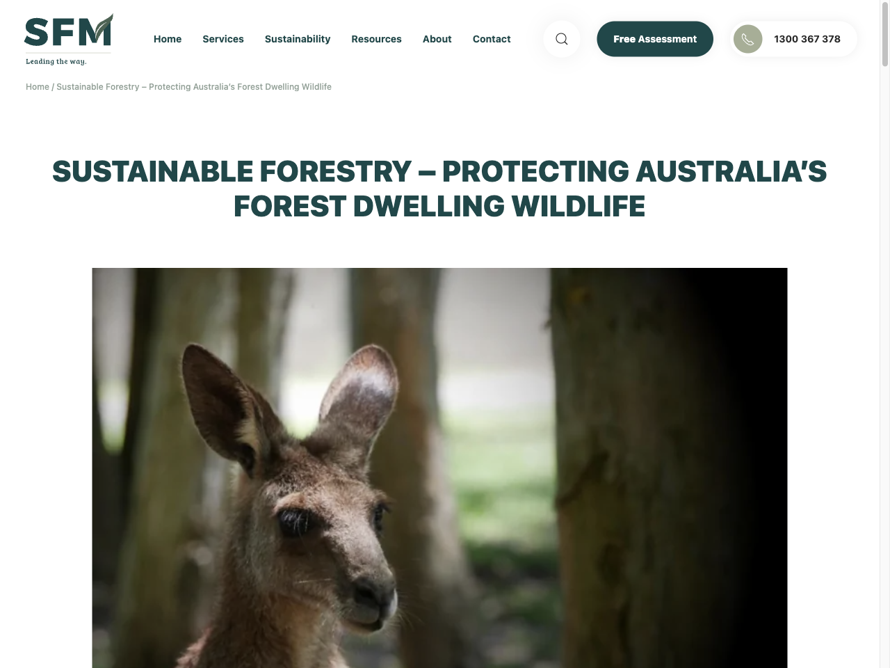 Preview of Sustainable Forestry – Protecting Australia's Forest Dwelling Wildlife, accessed July 12, 2025,