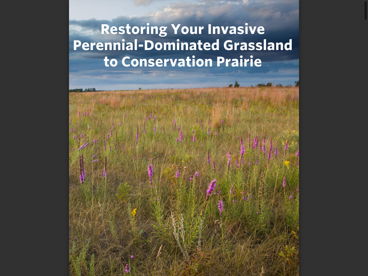 Preview of Submission - Regulation, control and management of invasive species and the Environment Protection and Biodiversity Conservation, accessed July 23, 2025