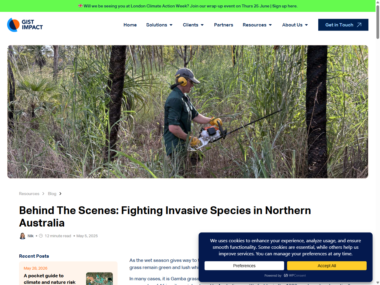 Preview of GAMBA GRASS HUB | Territory NRM, accessed July 23, 2025, 