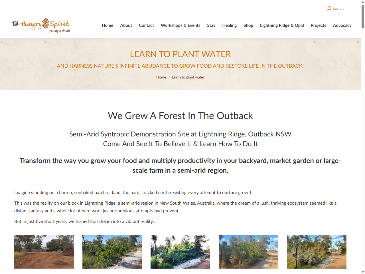 Preview of Learn to plant water - The Hungry Spirit, accessed July 6, 2025,