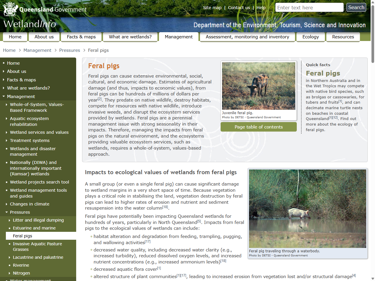 Preview of Feral pigs - WetlandInfo - Department of the Environment, Tourism, Science and Innovation