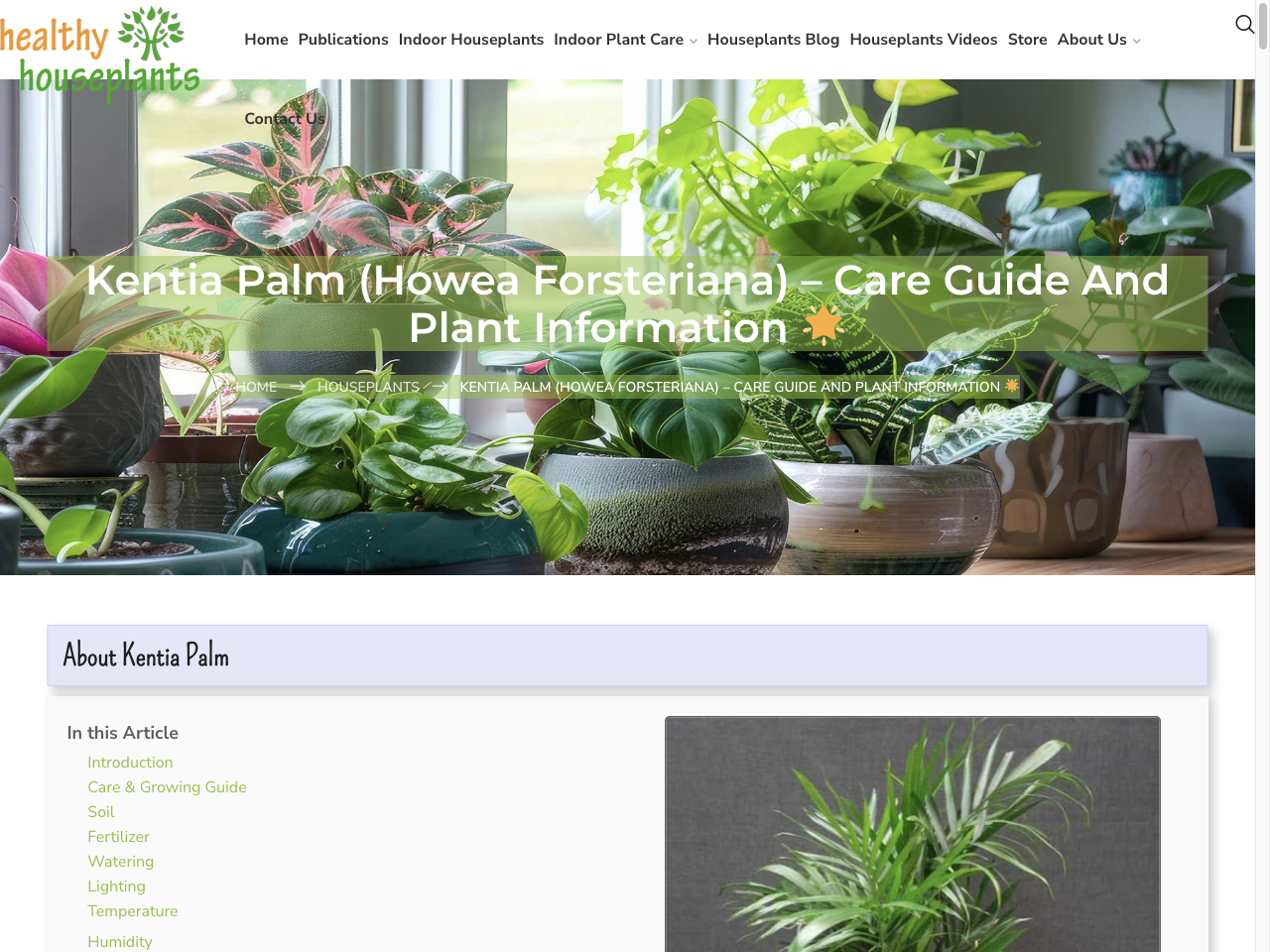 Preview of Kentia Palm (Howea forsteriana) - Care Guide and Plant Information - Healthy Houseplants, accessed July 30, 2025,