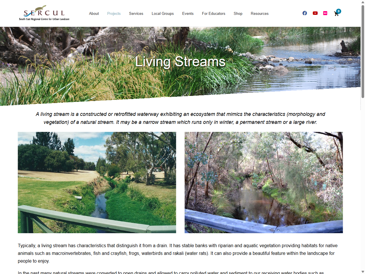 Preview of Living Streams - SERCUL, accessed July 13, 2025, 