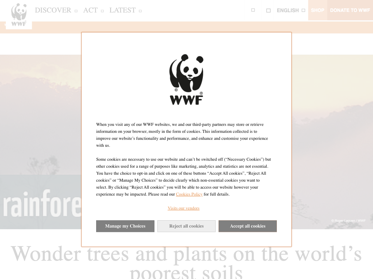 Preview of Amazon rainforest | WWF - Panda.org, accessed July 22, 2025, 