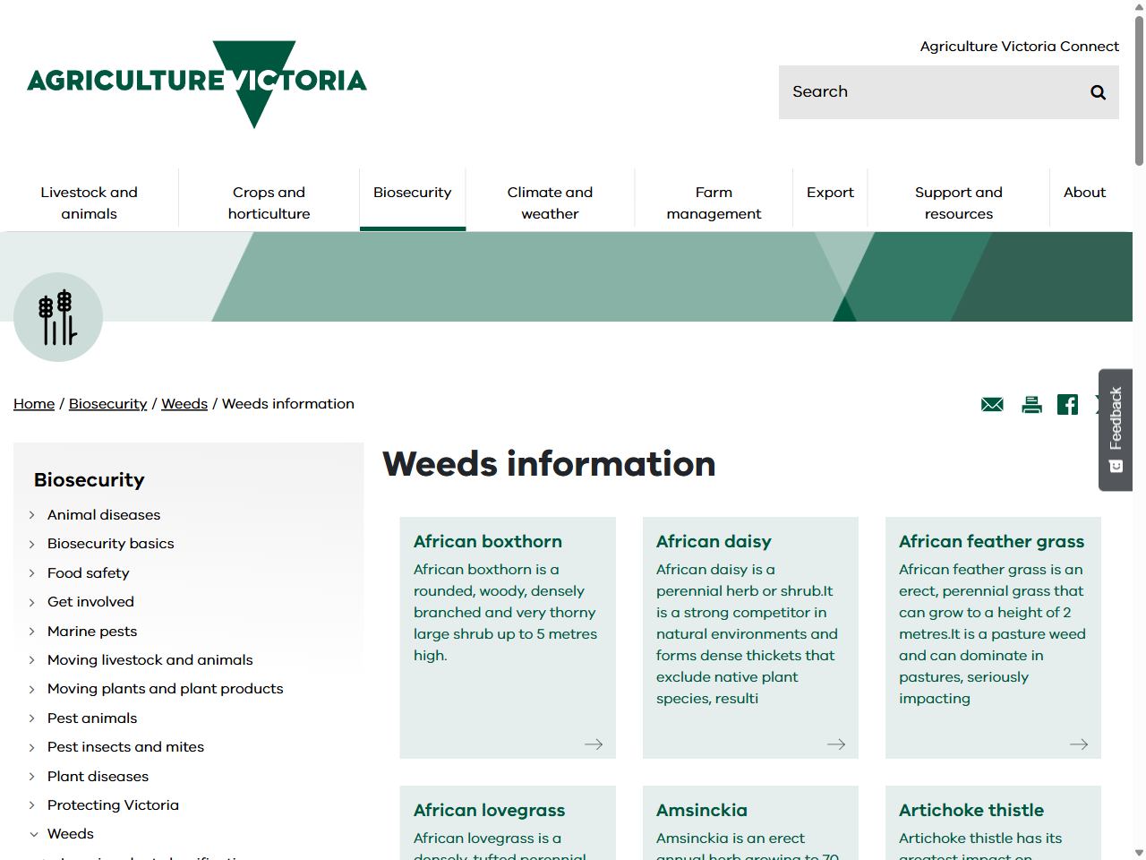 Preview of Weeds information - Biosecurity - Agriculture Victoria, accessed August 10, 2025