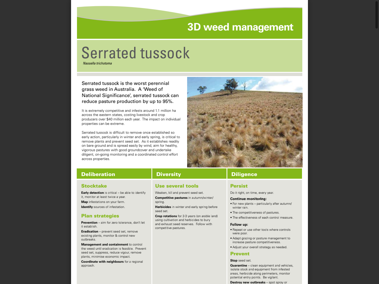 Preview of Serrated tussock - Australian Wool Innovation, accessed August 12, 2025,