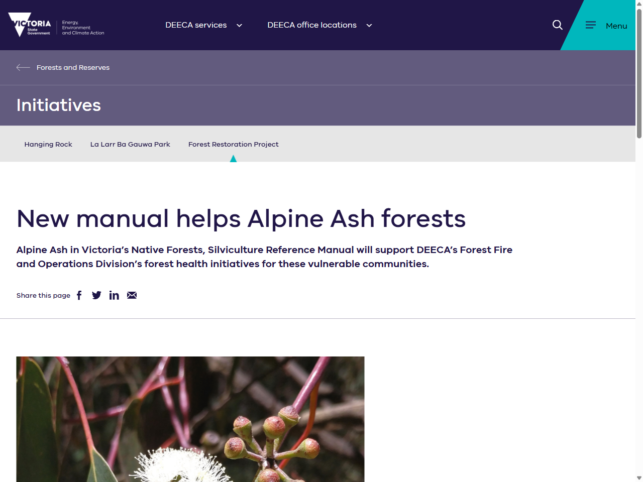 Preview of EARLY GROWTH OF EUCALYPTUS DELEGATENSIS PROVENANCES IN FOUR FIELD TRIALS IN SOUTH-EASTERN AUSTRALIA, accessed March 28, 2026,