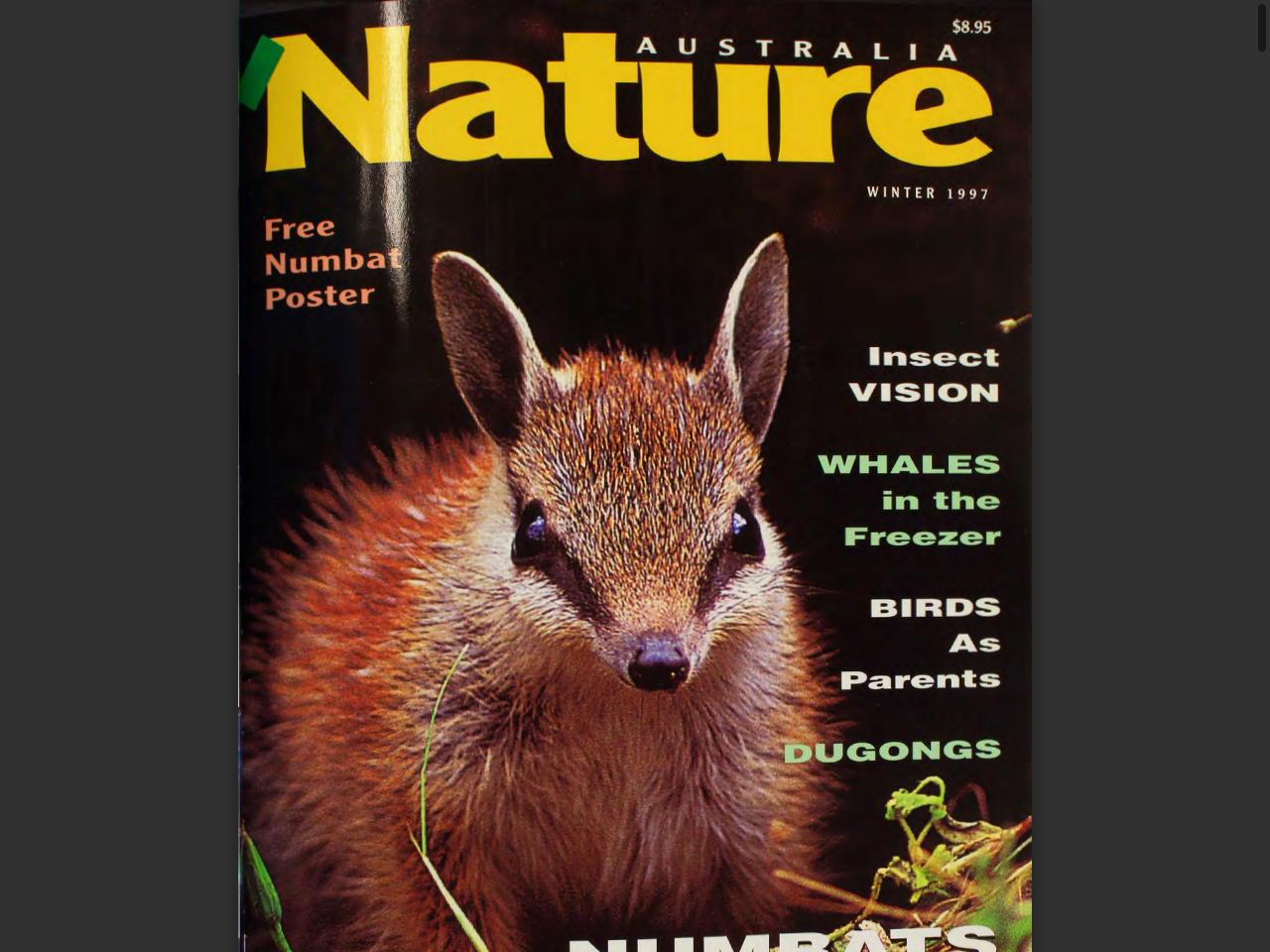 Preview of Up Front - Australian Museum Publications, accessed July 27, 2025, 