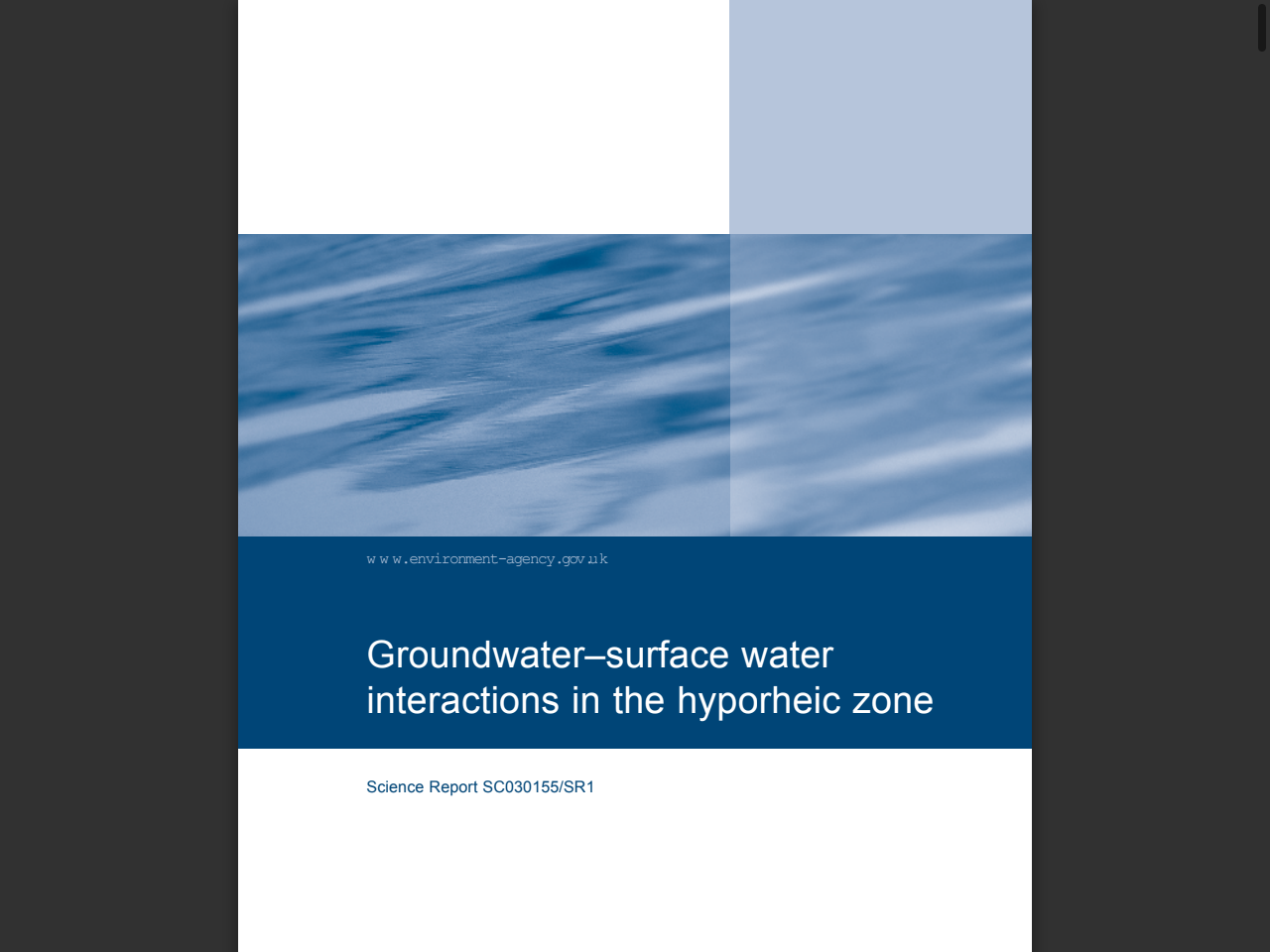 Preview of Groundwater–surface water interactions in the hyporheic zone - GOV.UK, accessed August 3, 2025,