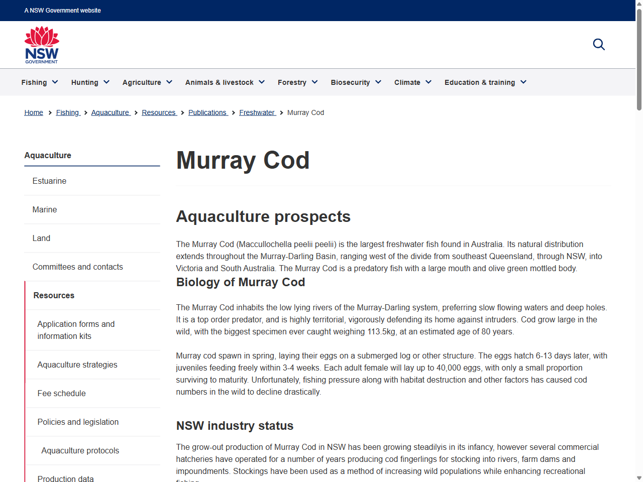 Preview of Murray Cod | Department of Primary Industries, accessed July 20, 2025,