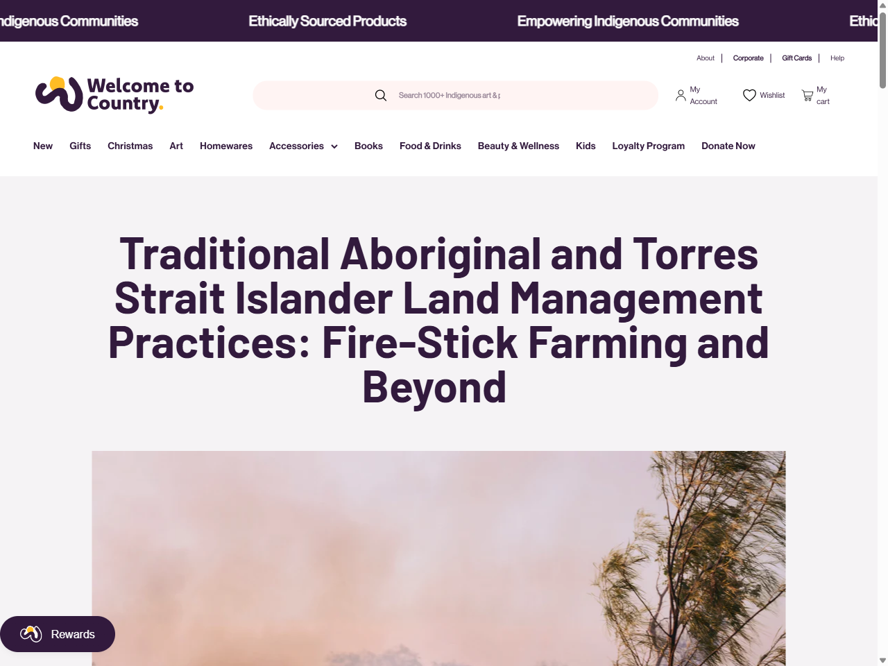 Preview of Traditional Aboriginal and Torres Strait Islander Land Management Practices: Fire-Stick Farming and Beyond - Welcome To Country - Shop, accessed July 30, 2025