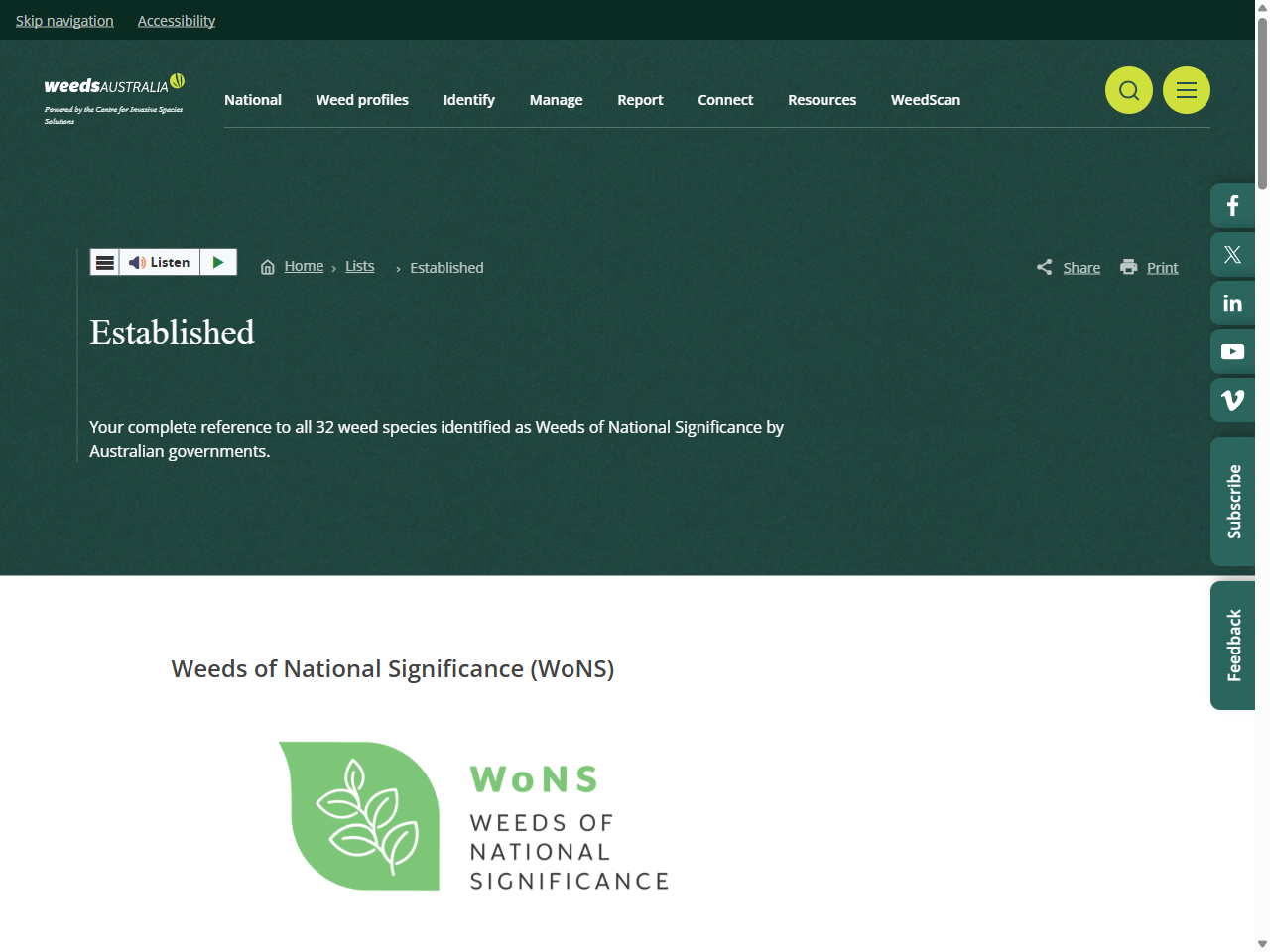 Preview of African boxthorn (Lycium ferocissimum) - NSW WeedWise, accessed July 10, 2025