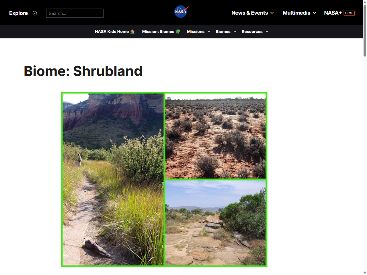 Preview of Shrubland: Mission: Biomes, accessed July 7, 2025, 