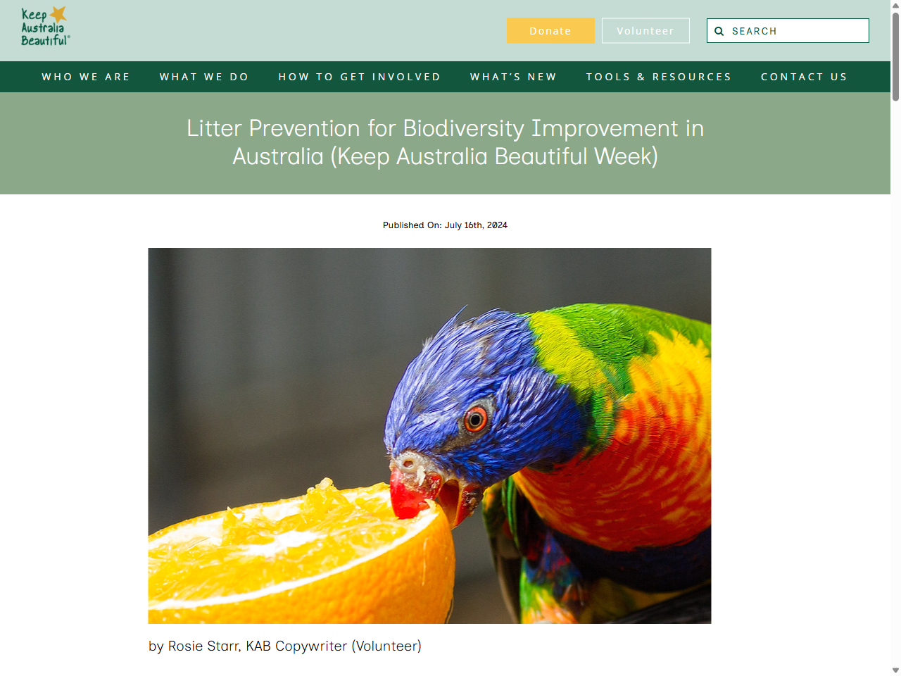 Preview of Litter and Illegal Dumping Social Research (2020 Report) - Queensland Government, accessed July 13, 2025