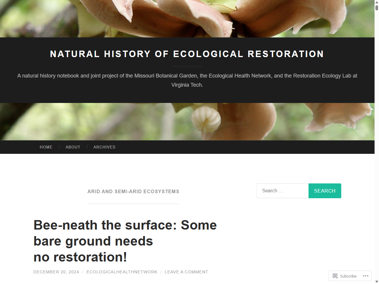 Preview of Winged Peppercress monitoring - Arthur Rylah Institute for Environmental Research