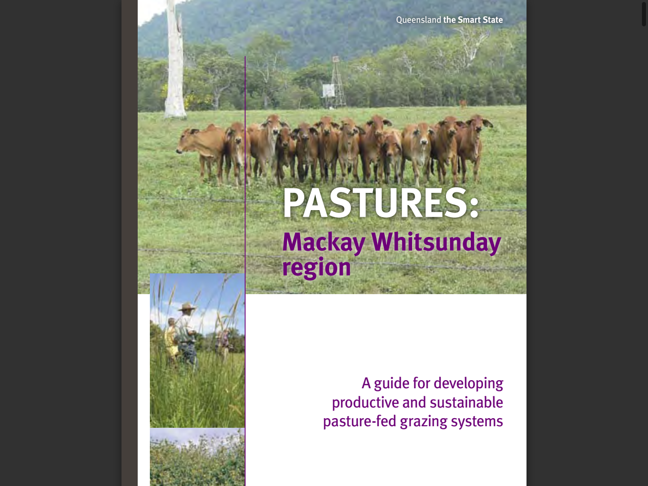 Preview of Pastures: Mackay Whitsunday region - FutureBeef, accessed July 18, 2025, 