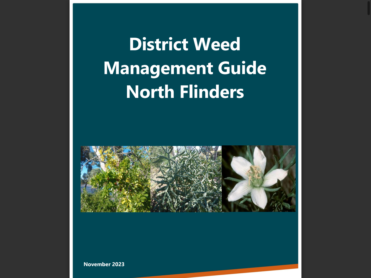 Preview of Australian Weeds Strategy 2017-2027, accessed July 13, 2025