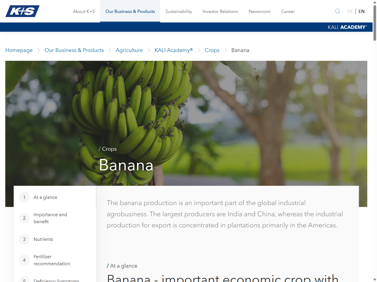 Preview of Banana | K+S Aktiengesellschaft, accessed July 16, 2025,