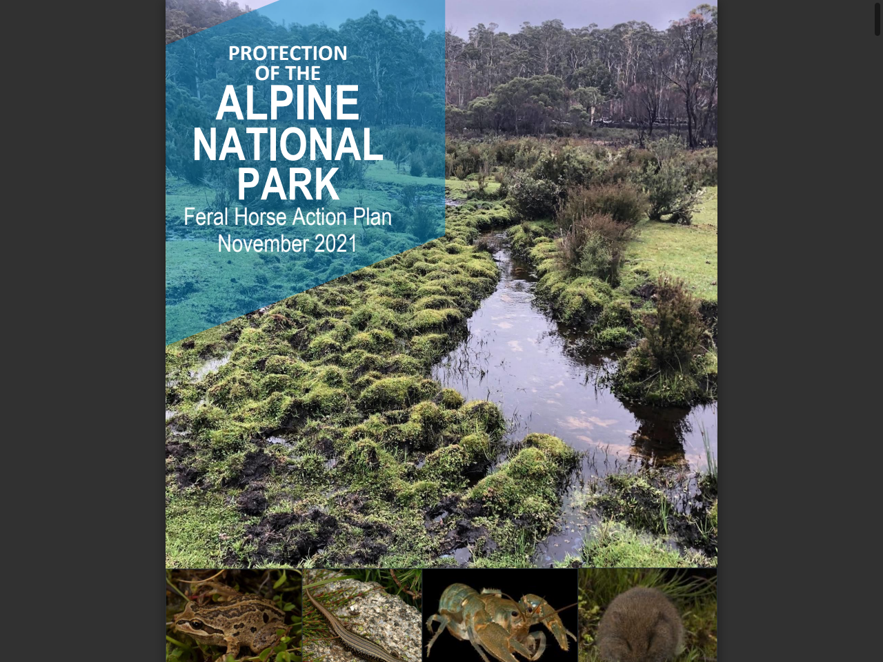Preview of Invasive Species - NSW State of the Environment, accessed on May 25, 2025,
