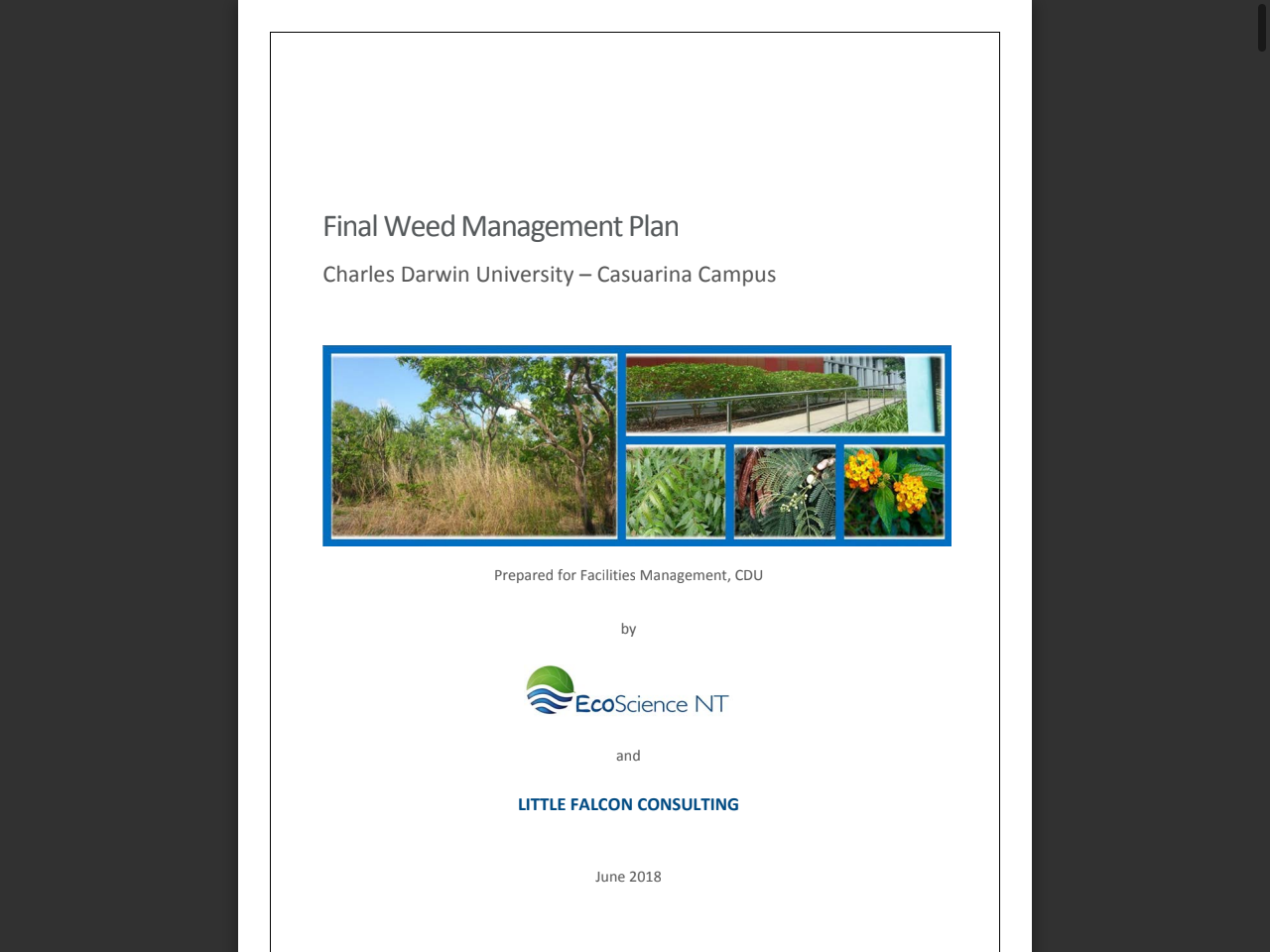 Preview of A-Z list of weeds in the NT | NT.GOV.AU, accessed July 23, 2025, 