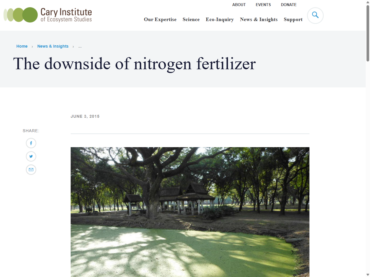 Preview of Study suggests natural areas may acquire too little nitrogen to repair climate, accessed July 19, 2025,