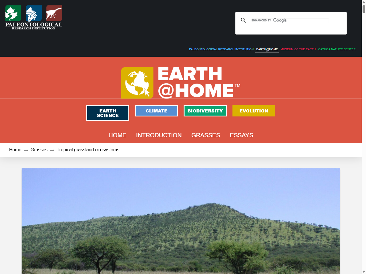 Preview of Tropical grassland ecosystems - Earth@Home: Evolution, accessed May 11, 2025,