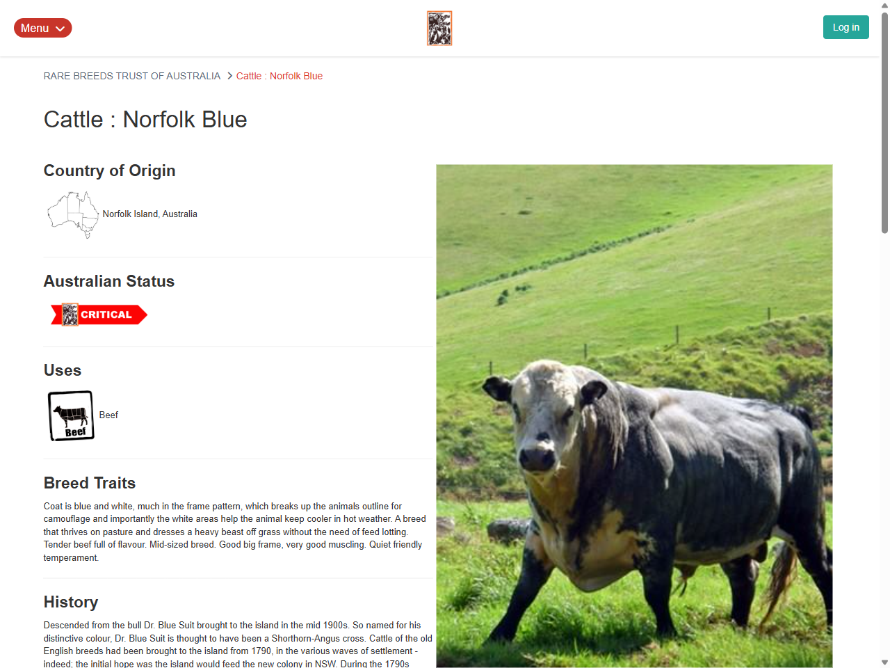 Preview of The Longest Paddock: Cattle on Norfolk Island