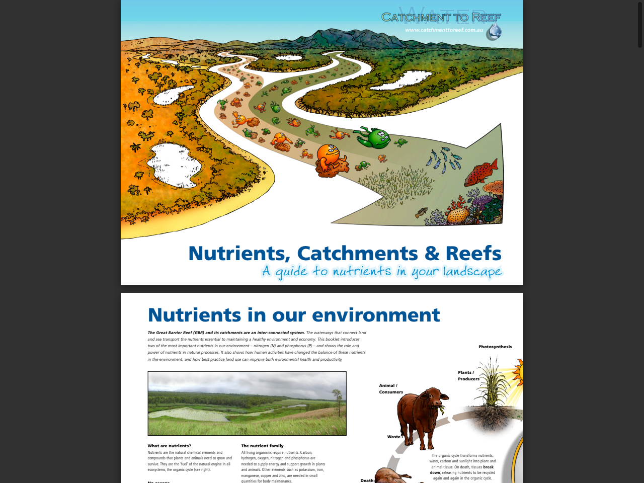 Preview of Movement of nitrogen through a riparian forest in a tropical, agricultural landscape