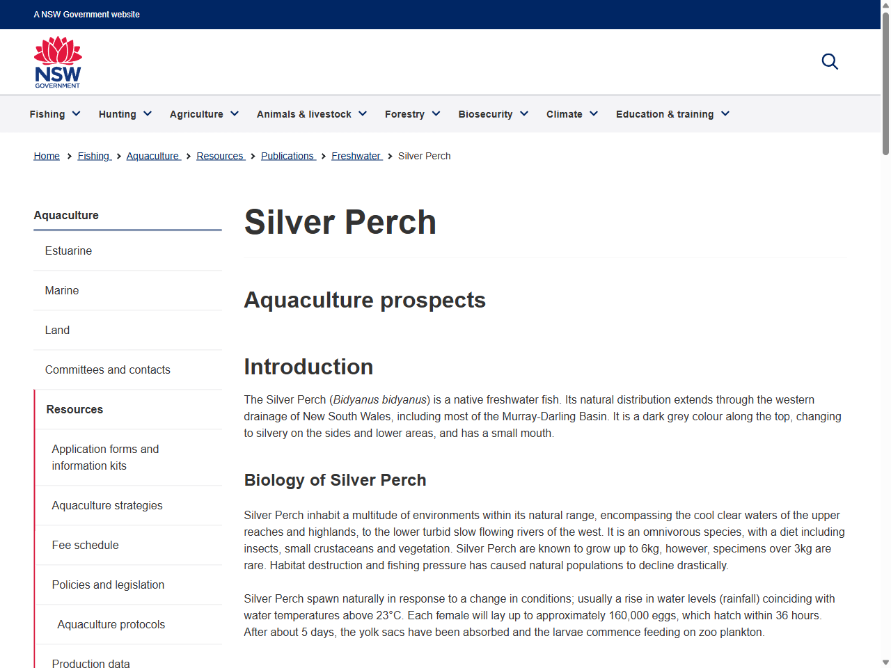 Preview of Silver Perch | Department of Primary Industries