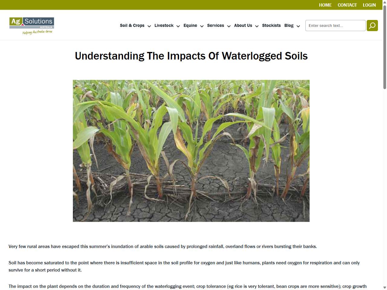 Preview of Understanding The Impacts Of Waterlogged Soils - AgSolutions