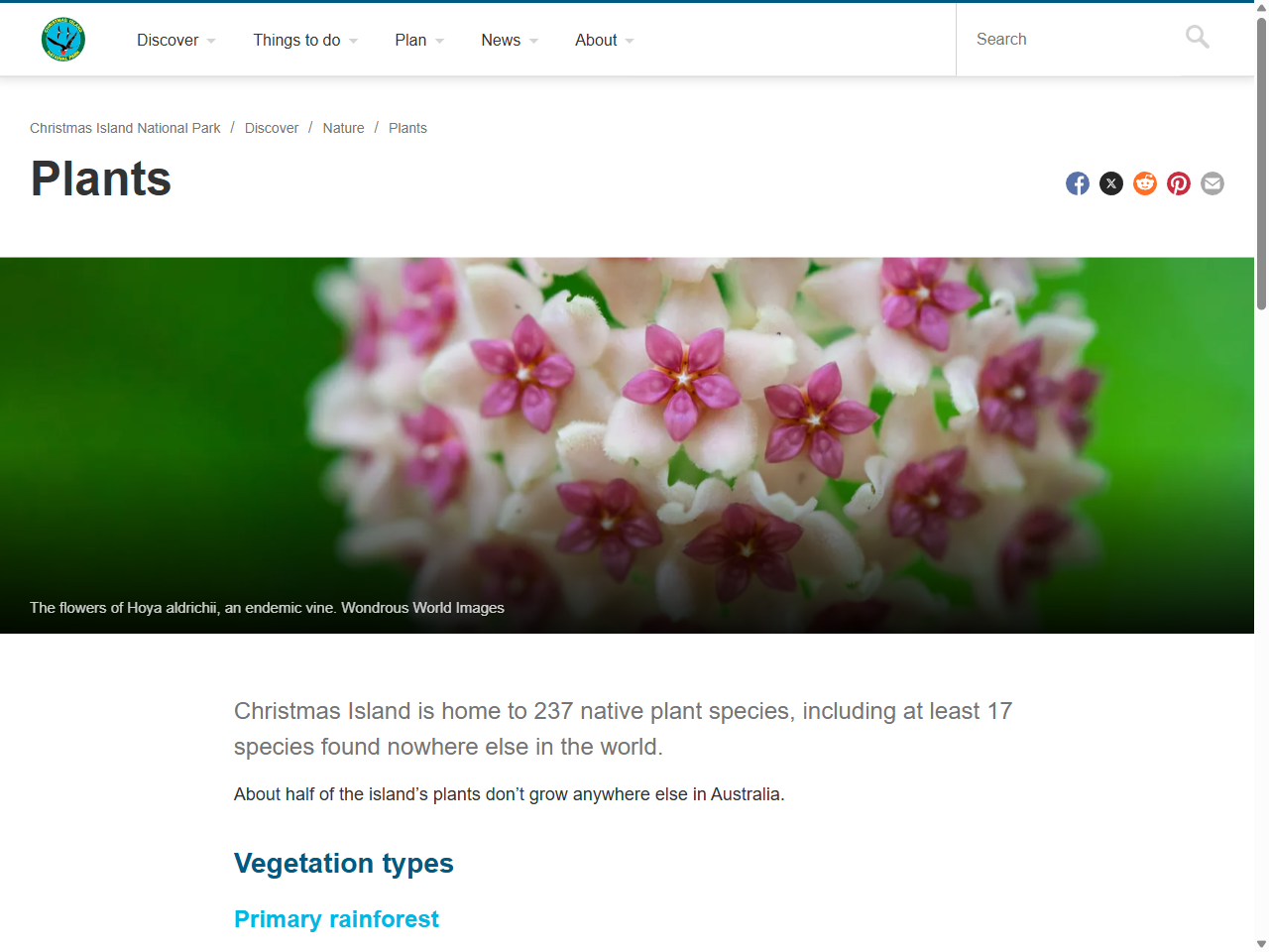 Preview of Plants | Christmas Island National Park | Parks Australia, accessed July 30, 2025, 