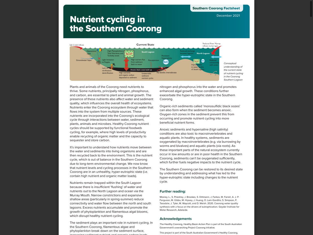 Preview of Nutrient cycling in the Southern Coorong - Department for Environment and Water, accessed July 17, 2025,