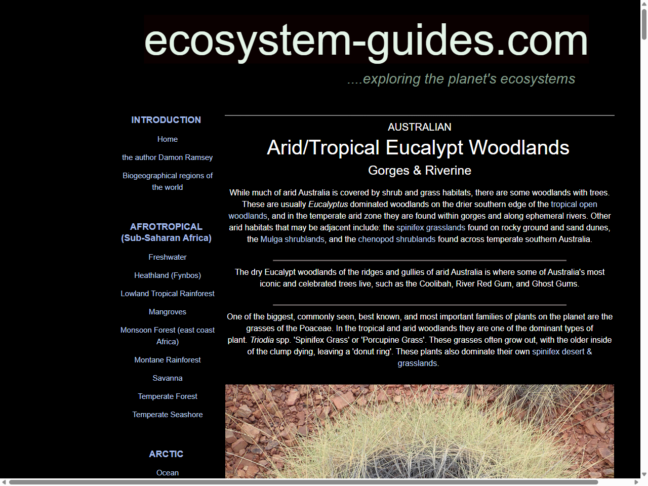 Preview of The arid Australian environment - Australian Wildlife Society, accessed July 23, 2025