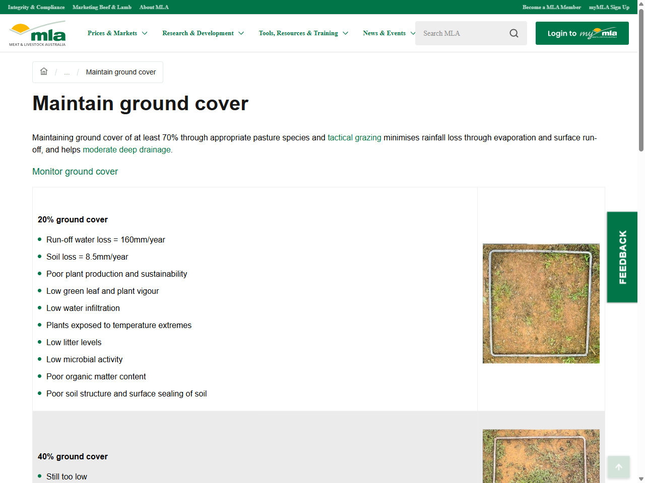 Preview of Meat & Livestock Australia. (n.d.). Maintain ground cover. MLA.