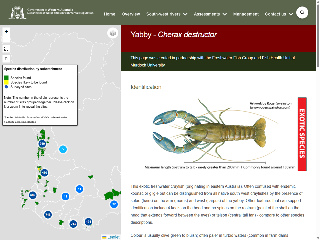 Preview of Yabby - Healthy Rivers - Department of Water and Environmental Regulation