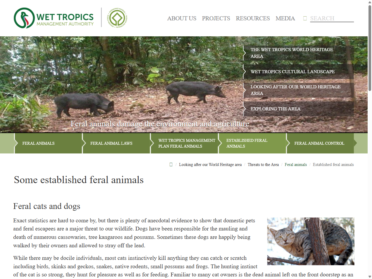 Preview of Some established feral animals | Wet Tropics Management Authority, accessed July 20, 2025, 