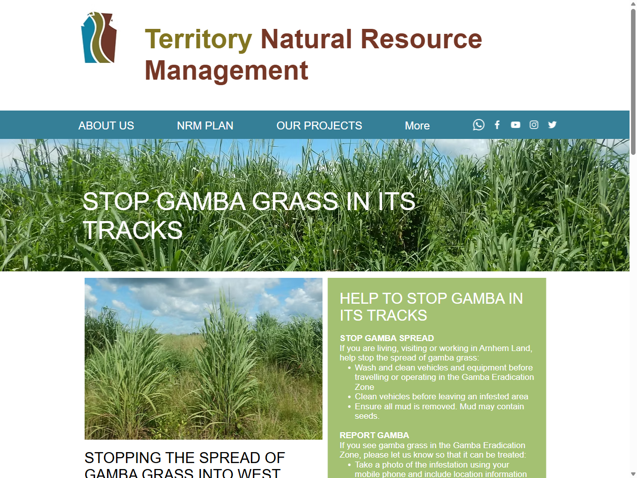Preview of Gamba Grass Management Guide - Northern Territory Government, accessed July 23, 2025