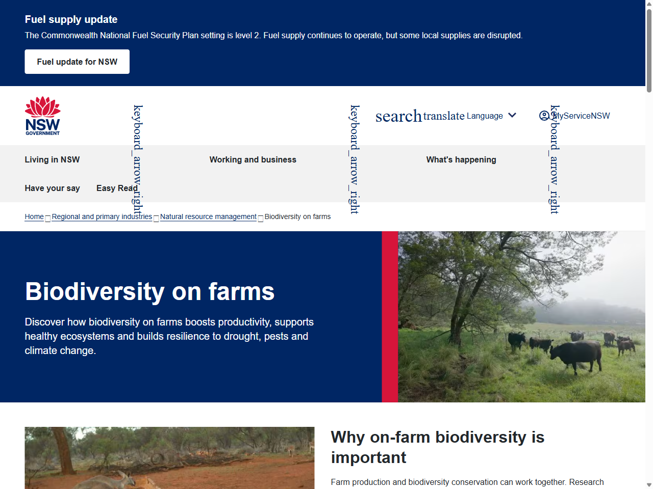 Preview of Approved Conservation Advice for the White Box - Yellow Box - Blakely's Red Gum Grassy Woodland and Derived Native Grassland - DCCEEW, accessed August 12, 2025, 