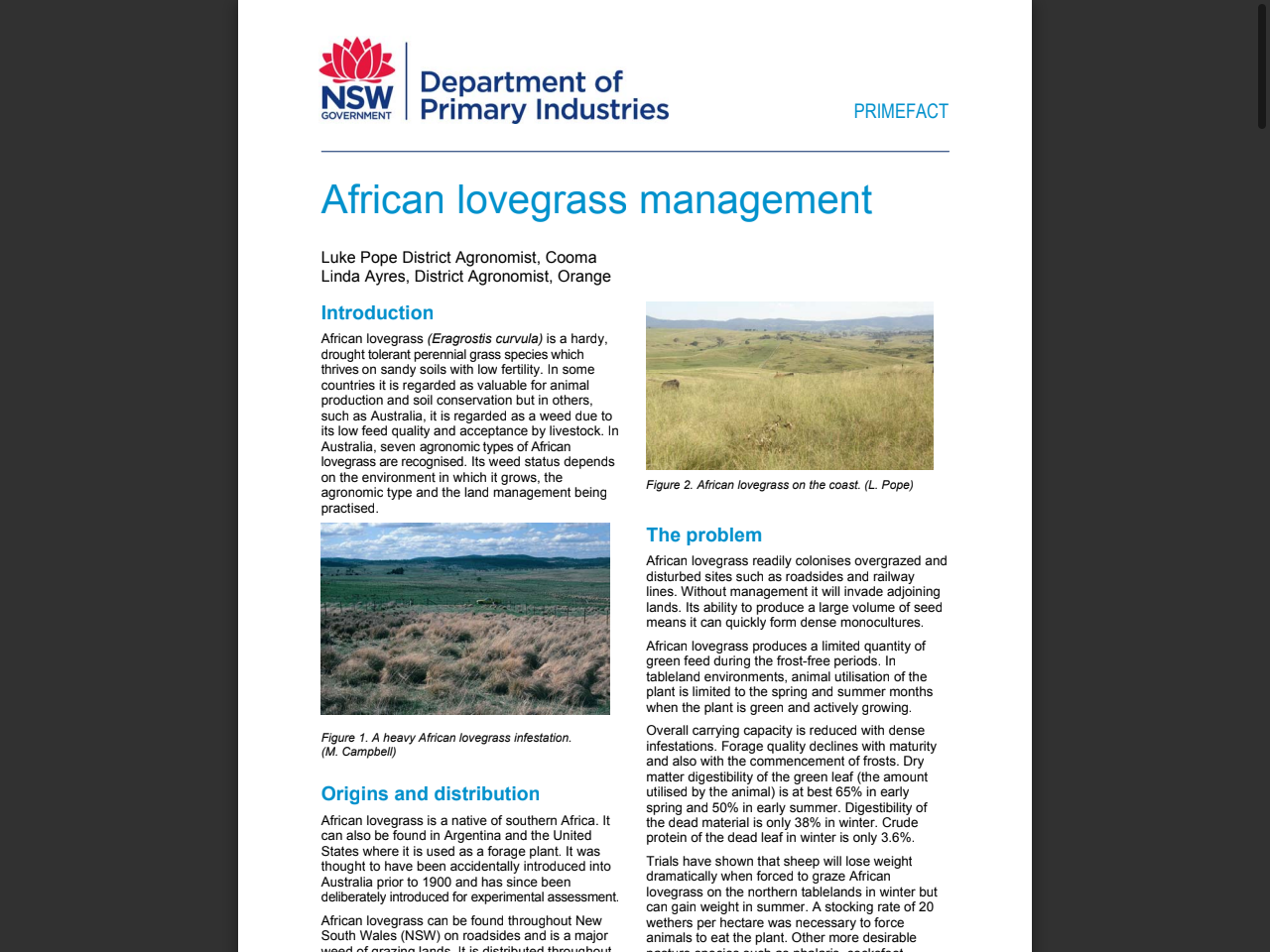 Preview of African lovegrass management - Upper Snowy Landcare, accessed July 7, 2025