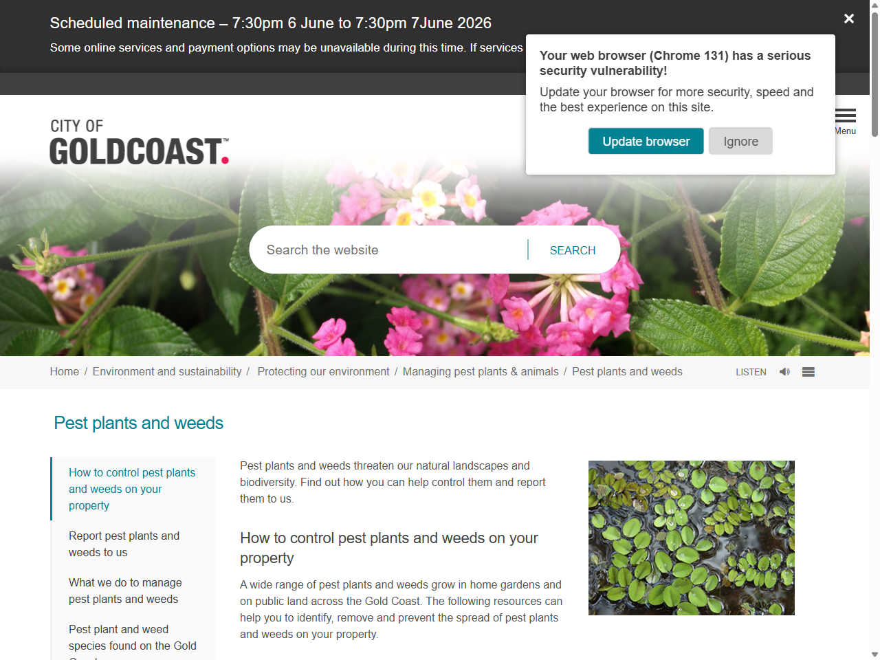 Preview of Fighting plagues and predators to protect Australia's biodiversity ..., accessed July 21, 2025